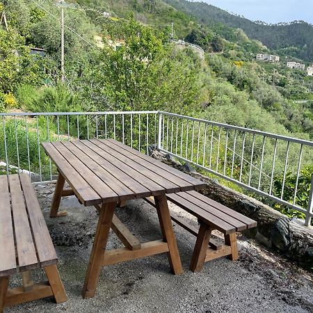 فيلا La Casa Di Rosetta ليفانتو المظهر الخارجي الصورة